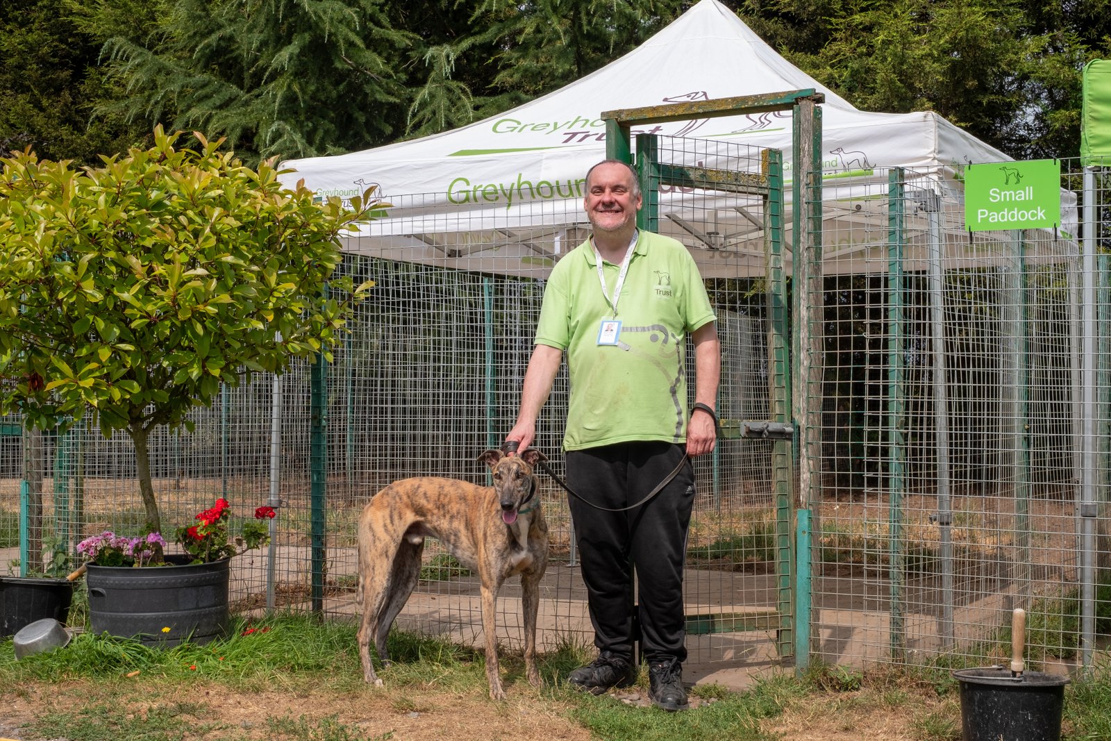 A middle-aged white man wearing a Greyhound Trust pale green shirt and dark trousers smiles broadly while standing with a greyhound on a leash.