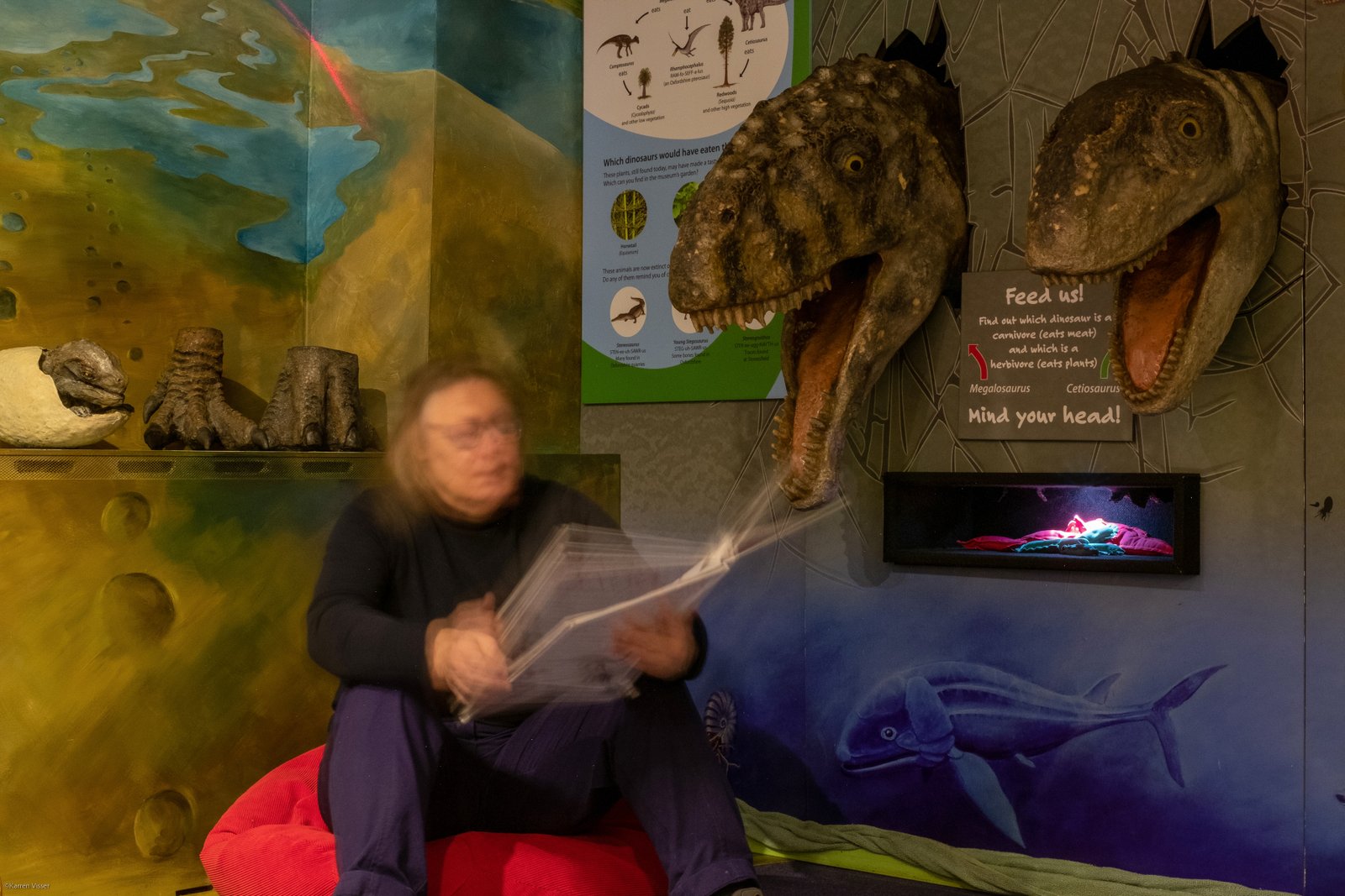 Overlooked by two dinosaur heads on the wall a white woman sits on a beanbag reading a large book.